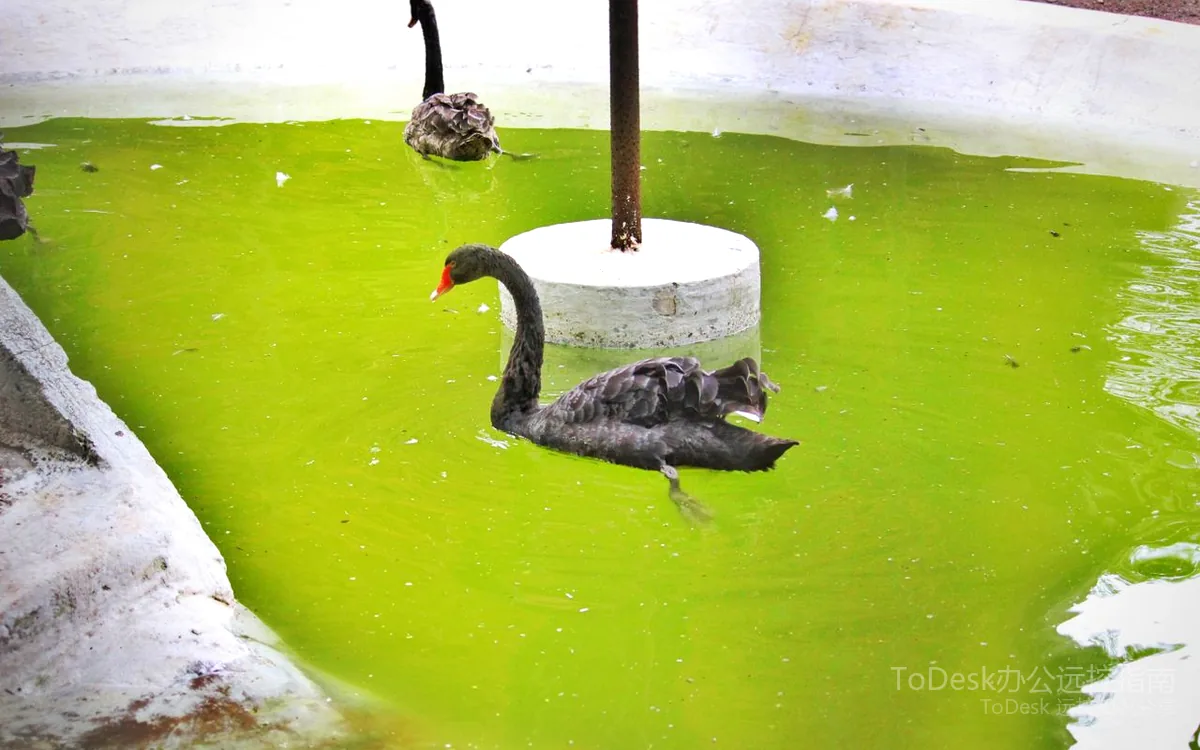 ToDesk远程控制使用场景